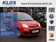 Fiat Panda EASY 1.2 69 PS KLIMA RADIO SERVO - Marpingen