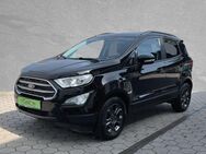 Ford EcoSport, 1.0 Cool & Connect EcoBoost, Jahr 2019 - Kulmbach