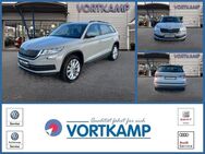 Skoda Kodiaq, Active Amundsen, Jahr 2020 - Gronau (Westfalen)