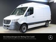 Mercedes Sprinter, 317 KA L2H2 STANDARD T, Jahr 2023 - Trier