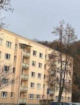 Wohnen am Stadtwald! - Altenburg