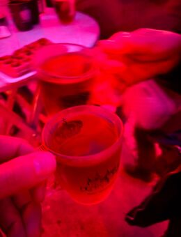 Neue Paar-Freundschaften gesucht… - Empfingen