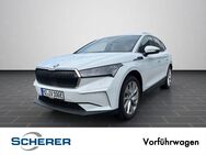 Skoda ENYAQ iV, 80 h 204PS Automatik, Jahr 2024 - Mainz