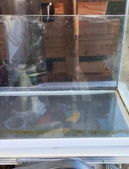 Eheim Aquarium 90 Liter - Tuntenhausen