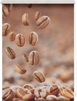 Seitenzugrollo Rollo Klemmfix, ohne Bohren, blickdicht, Kaffee - Braun, LICHTBLICK ORIGINAL, blickdicht, freihängend, Klemmfix