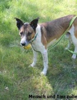 Jaro freundlich - Berlin