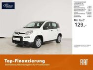 Fiat Panda, 1.0 GSE Hybrid, Jahr 2024 - Pilsach