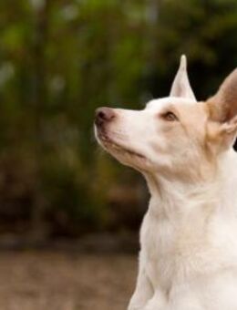 Schlägt Dein Herz für Froggy? - München