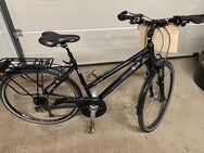 Pegasus City Bike 27 Gang - Weidenberg