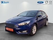 Ford Focus, 1.0 EcoBoost, Jahr 2015 - Rutesheim