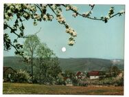 Frühling in Wildbach (Erzgebirge) mit Volkslied "Dr Vugelbeerbaam" Tonpostkarte Schallbildkarte Schallplattenpostkarte Tonbildpostkarte AK Tonansichtskarte Tönende Ansichtskarte - Nürnberg