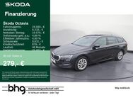 Skoda Octavia, 2.0 TDI Style Octavia Combi, Jahr 2021 - Reutlingen