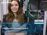 IT Application Consultant (m/w/d) - Schorndorf (Baden-Württemberg)