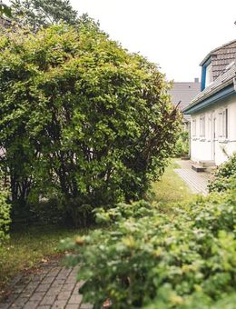 Eine Wohnung zum Verlieben im Ostseebad Prerow - Prerow (Ostseebad)