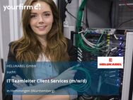 IT Teamleiter Client Services (m/w/d) - Hemmingen (Baden-Württemberg)