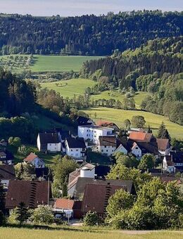Traumhafte Penthouse-Wohnung in idyllischer Waldrandlage mit außergewöhnlich großem Balkon - Haiterbach