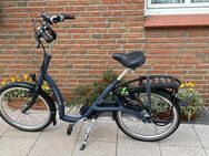 Brandneues therapeutisches Fahrrad mit Tiefeinstieg von Vanraam - Berlin Steglitz-Zehlendorf