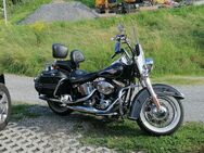 Gepflegte Harley Davidson FLSTC - Rheineck