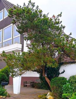 Zeitloser Charme trifft auf modernes Potenzial: Freistehendes Einfamilienhaus mit fast 180 m² Wohnfläche. - Meerbusch