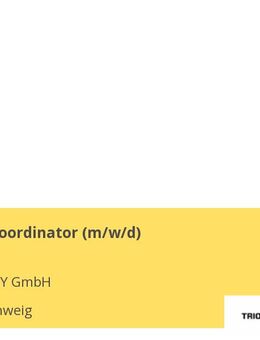 IT-Projektkoordinator (m/w/d) - Braunschweig