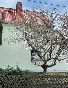 Großzügiges Einfamilienhaus in Freital - Freital