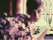 AK Postkarte Audrey Hepburn Hollywood 1953 - Spraitbach