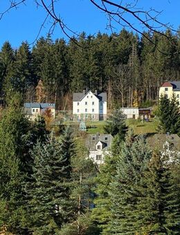 Blick auf's Bergdorf +++Mehrfamilienhaus in Pobershau+++ - Marienberg