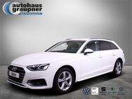 Audi A4 40 TFSI S tronic advanced - Brandis