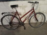 Damenfahrrad 28'' Kalkhoff - Berlin Neukölln