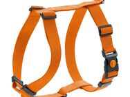 HUNTER Geschirr London Vario Rapid, orange - Größe XXS-XS: 32-52 cm Bauchumfang