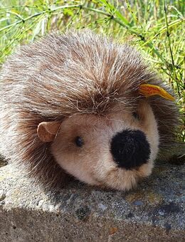 Vintage Steiff Igel Joggi, Sammlerstück - Köln