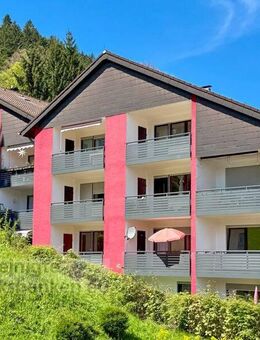 Sonnige 1-Zimmer Wohnung für Singles oder Kapitalanleger in Unterreichenbach. - Unterreichenbach