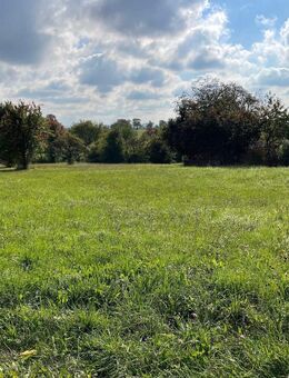 Doppelhaushälfte auf Traumgrundstück mit Blick ins Grüne - Neubau am Ortsrand - Neulingen