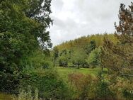 Perfekt geschnittene, helle 2,5 Zimmer-Wohnung mit Balkon und Aussicht ins "Grüne" - Bad Rappenau