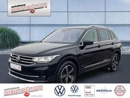 VW Tiguan, 2.0 l TDI Elegance, Jahr 2021 - Springe