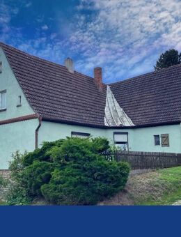 Charmantes Landhaus mit Potenzial - Ihr Projekt zum Traumhaus ! - Gerbstedt