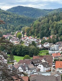 * aller guten Dinge sind zwei* Doppelapartment mit traumhafte Aussicht über Bad Herrenalb - Bad Herrenalb