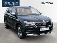 Skoda Kodiaq, 2.0 TDI Scout, Jahr 2021 - Winsen (Luhe)