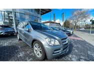 Mercedes-Benz GL 350 CDI 4Matic Panorama. RFK. Navi. Sitzh. - Mainz