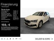 Skoda Scala, 1.0 TSI Cool Plus |||, Jahr 2020 - Schweinfurt