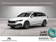 Skoda Octavia, 2.0 TSI Combi Sportline, Jahr 2024 - Einbeck