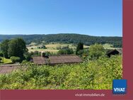 Tolle Aussichten! Großes, terrassiertes Wohngrundstück im Wochenendgebiet. Tiny Houses möglich!!! - Biebergemünd