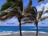 Kostenlosaktion zu meinem E-Book „Reise ins Südseeparadies Hawaii“ - Liederbach (Taunus)