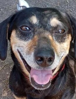 JAKUZZI - kleiner Menschenfreund - Seggebruch