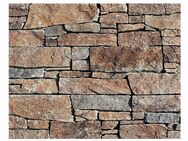 Wandverkleidung Naturstein Quarzit Wandverblender Wandpaneele Klinker antike Baustoffe München Düsseldorf Köln Dortmund Essen Münster Berlin Frankfurt Hamburg Schwerin - Naturstein Fliesen Lager Verkauf Stein-mosaik Herne NRW - Herne