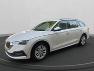 Skoda Octavia, 2.0 TDI Combi Ambition, Jahr 2020 - Gaggenau