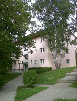 Schöne Wohnung sucht Mieter: individuelle 3-Zimmer-Wohnung mit EBK - Heidenheim (Brenz)