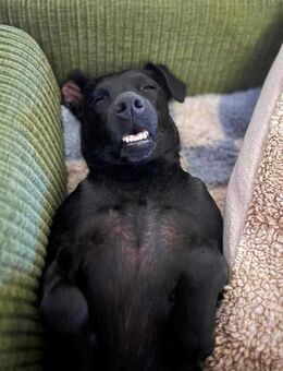 Otti - die Kinderliebende - Löwenberger Land