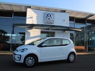 VW up, , Jahr 2020 - Mücke