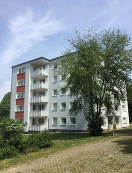 Großzügige 3-Zimmer Wohnung mit Balkon in der Nähe des Obersees! - Bielefeld